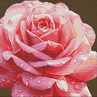 Алмазна мозаїка без підрамника "Повна троянда" AMC7854 40х40см kz