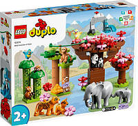 Конструктор LEGO DUPLO Дикие животные Азии 117 деталей (10974) Лего Дупло