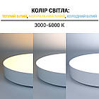 Світильник світлодіодний Biom SMART SML-R43-50/2 3000-6000K 50 Вт з д/у, фото 4