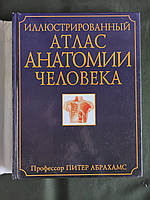 Иллюстрированный атлас анатомии человека Питер Абрахамс