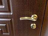 Двері вхідні БЕЗКОШТОВНА ДОСТАВКА в частный дом, фото 3