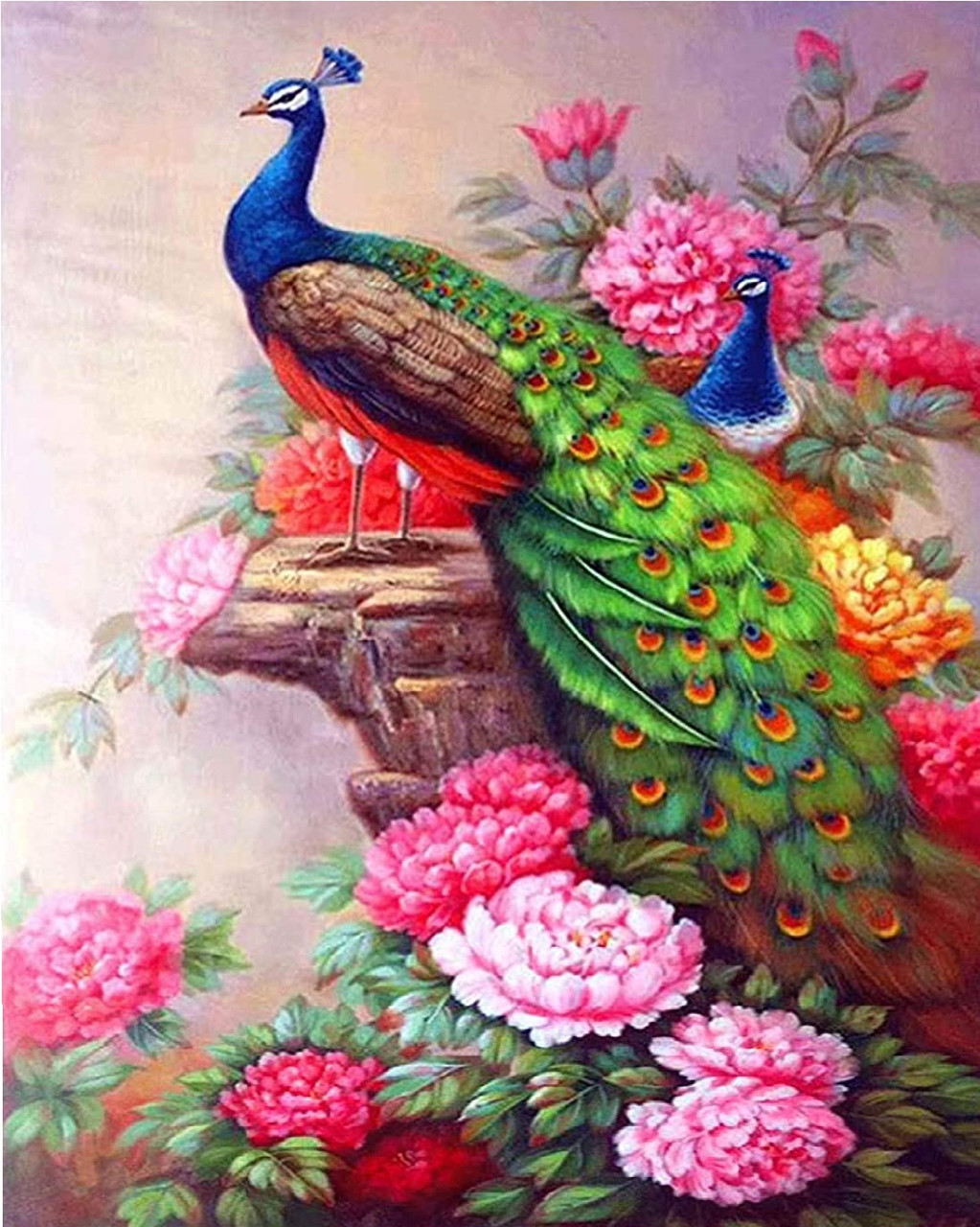 Алмазна мозаїка на підрамнику Птахи "Красавець павич" 40*50 см My-Art TN1134