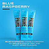 Порошок для напою з електролітами Prime Hydration Sticks Blue Raspberry Electrolyte Drink Mix 16шт, фото 8