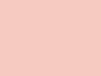 Краска для торцов изделий из кожи 1880 Mat Светло розовый