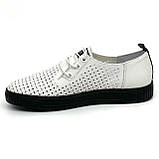 Жіночі шкіряні кеди білого кольору з чорною підошвою на шнурівці з перфорацією MIDA 230296(114) розмір 36, фото 2