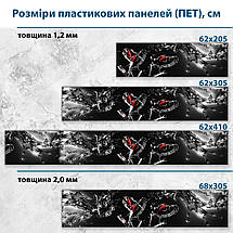 Фото панель універсальна ПЕТ, Самофіксована, 62 х 305 см (товщіна 1.2 мм), келихи з полуницею, фото 3