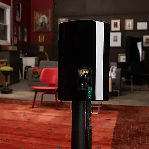 Акустичний кабель AudioQuest Robin Hood BiWire COMBO 2.0 m BANS, фото 3