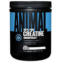 Креатин Universal Nutrition 100% Pure Creatine Monohydrate (300 грамм.)