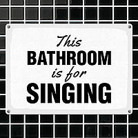 Табличка интерьерная металлическая This bathroom is for singing kz