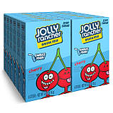 Порошковий напій Jolly Rancher Water Drink Mix Chery 16г, фото 6
