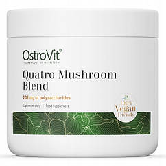 Суміш чотирьох грибів OstroVit Quatro Mushroom Blend 100 g