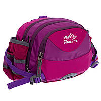 Сумка поясная COLOR LIFE WAIST BAG TY-5335 цвет фиолетовый-малиновый mn