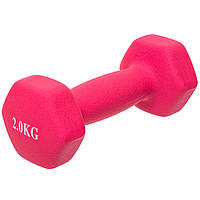 Гантель для фитнеса Zelart Радуга TA-0001-2 цвет розовый js