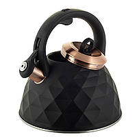 Чайник газовый на 3 литра Кухонный металический чайник из нержавейки Черный