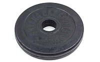 Диски (диски) прогумовані SHUANG CAI SPORTS TA-1441-1_25S 30 мм 1,25 кг чорний mn