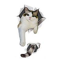 Інтер'єрна наклейка CD Кіт M1-53 30х20см 3941795