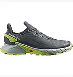 AllOriginal com ua Кросівки Salomon Alphacross 4 Gtx Grey L47066700 РОЗМІРИ ЗАПИТУЙТЕ, фото 2