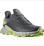 AllOriginal com ua Кросівки Salomon Alphacross 4 Gtx Grey L47066700 РОЗМІРИ ЗАПИТУЙТЕ, фото 3