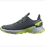 AllOriginal com ua Кросівки Salomon Alphacross 4 Gtx Grey L47066700 РОЗМІРИ ЗАПИТУЙТЕ, фото 4