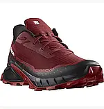 AllOriginal com ua Кросівки Salomon Alphacross 5 Bordo L47313200 РОЗМІРИ ЗАПИТУЙТЕ, фото 4