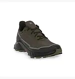 AllOriginal com ua Кросівки Salomon Alphacross 5 Gtx Olive 473103 РОЗМІРИ ЗАПИТУЙТЕ, фото 2