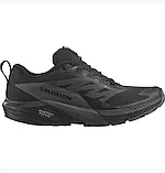 AllOriginal com ua Кросівки Salomon Sense Ride 5 Gtx Black L47147200 РОЗМІРИ ЗАПИТУЙТЕ, фото 2