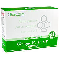 Препарат для кровообращения Santegra Ginkgo Forte GP 60 капсул EM, код: 2728867