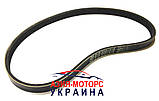 Ремінь генератора Chery Jaggi (Чері Джаггі) S12-3701315, фото 2