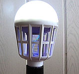Лампа-знищувач комах, мух, комарів Killer Lamp 20 м², 4 Вт, фото 5