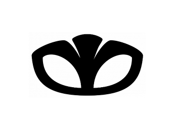 Автоаксесуари DAEWOO