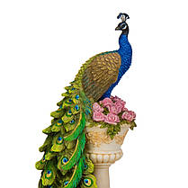 Статуетка "Павлін", 34 см (78180AA), фото 2