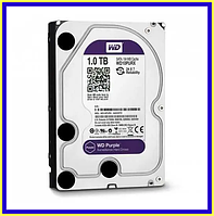 Жесткий диск Western Digital Purple 1TB 64MB 5400rpm WD10PURX 3.5 SATA III, Внутренний жесткий диск