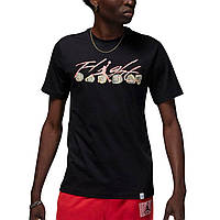 Футболка чоловіча Air Jordan Flight Essential Rings Tee FN5966-010