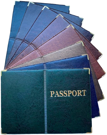 Обкладинка на закордонний паспорт зі шкірозамінника «Passport» колір мікс темні