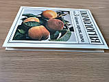 Книга Помологія в п'яти томах. Том 3. Абрикос, персик, алича, фото 2
