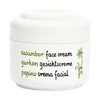 Крем для обличчя Ziaja Cucumber Face Cream з екстрактом огірка, 50 мл