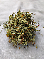 Карпатский первоцвет/примула весенняя 50 г. Собрано в 2025