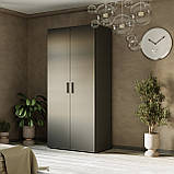 Шафа для одягу в передпокій зі штангою додатковою полицею зверху, дводверна простора шафа в вітальню, фото 5