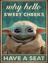 Плед «Малюк Йода. Зоряні війни. Постер. Baby Yoda. Star Wars. Poster», фото 3