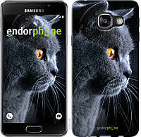 Панель Endorphone на Samsung Galaxy A3 (2016) A310F Красивый кот (3038m-159-26985) US, код: 1390905