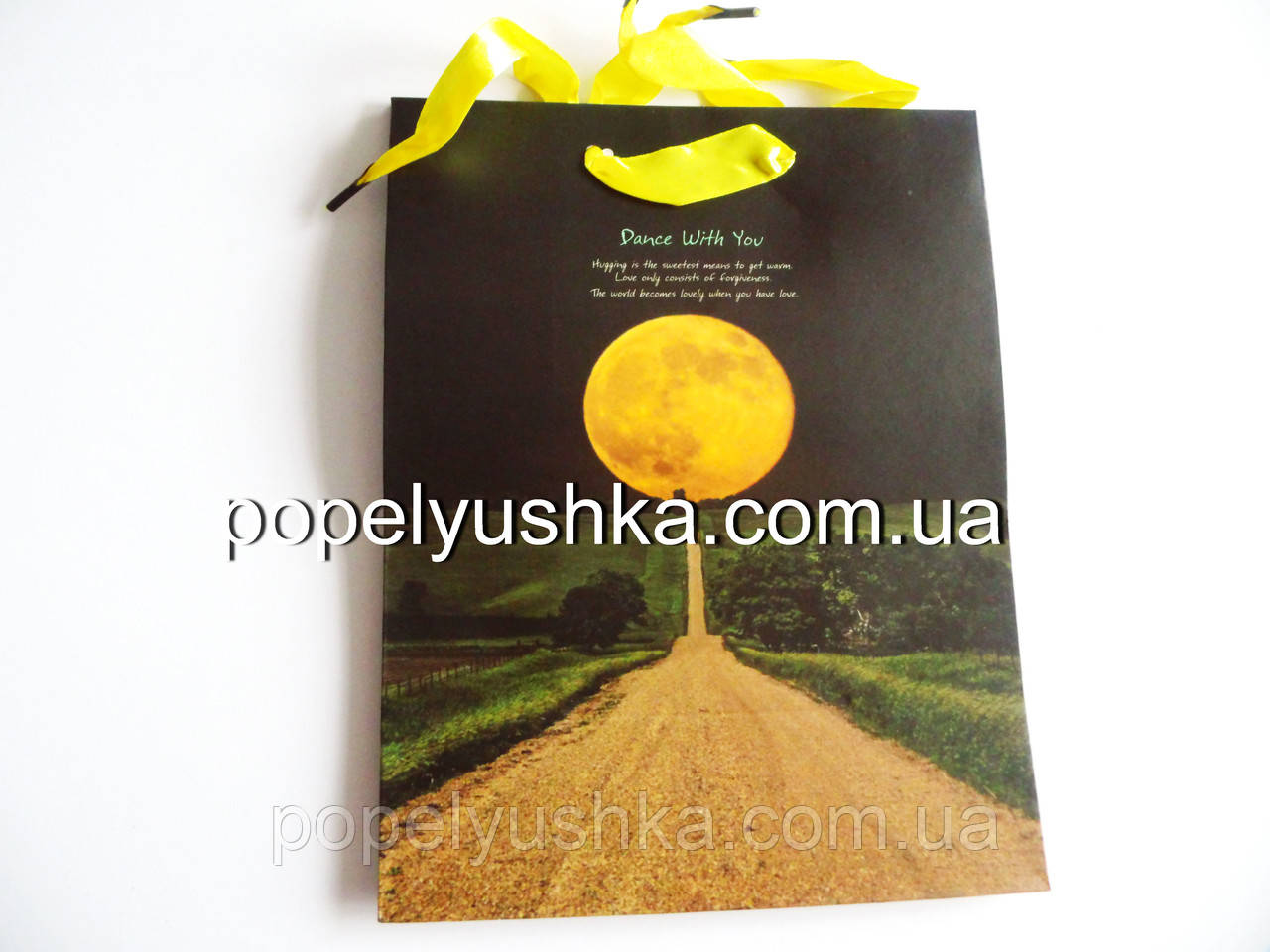 Пакет подарунковий ламінований 18*23*10 див. "Місяць", фото 1