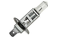 NTY HALOGEN BULB H112V55W(EZ-H1)