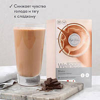 Сухая смесь для коктейля Natural Balance шоколад Wellness Oriflame