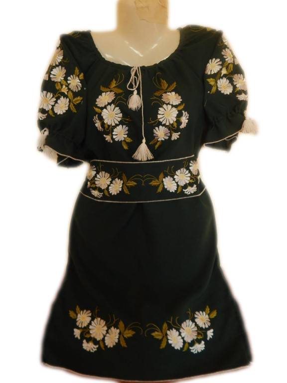 Вишита сукня "Ілайн" PL-0022