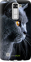 Пластиковый чехол Endorphone LG K8 K350E Красивый кот (3038m-297-26985) CS, код: 7500965