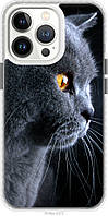 Чехол чехол bumper Endorphone iPhone 13 Pro Красивый кот (3038pc-2372-26985) TV, код: 7942794