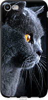 Чехол tpu черный Endorphone iPhone 8 Красивый кот (3038b-1031-26985) TV, код: 7945092