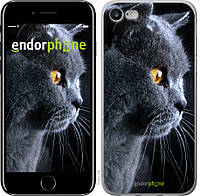 Силиконовый чехол Endorphone на iPhone 8 Красивый кот (3038u-1031-26985) TV, код: 1537705