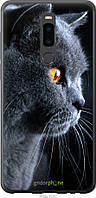 Силиконовый чехол Endorphone Meizu Note 8 Красивый кот (3038u-1610-26985) TV, код: 7501037