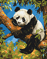 Картина за номерами Лінива панда 40 х 50  Brushme BS53982